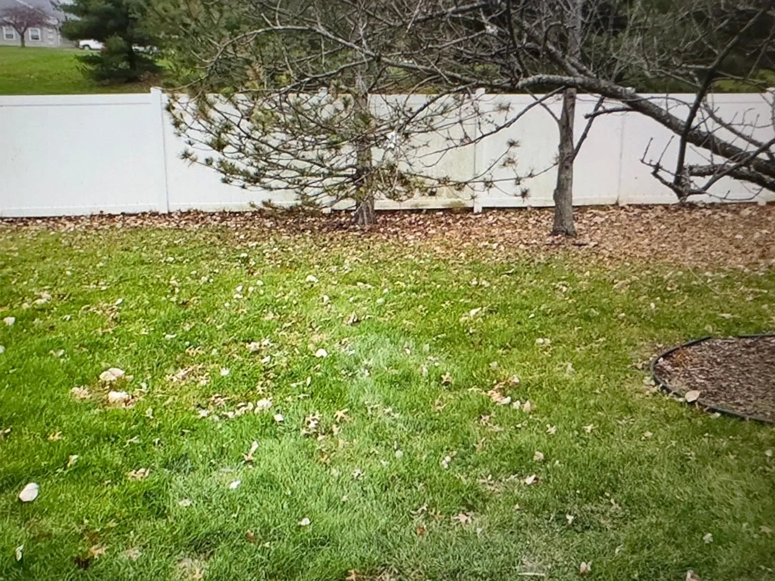 3 bed, 1444 sqft, $2,400 — Photo 2