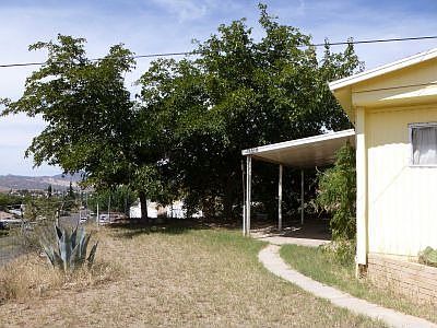 Shade trees on covered patio in front