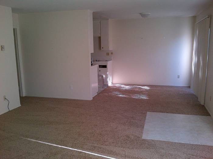Living Area - New carpet
