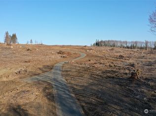 2 Hagen Rd, Mossyrock, WA 98564