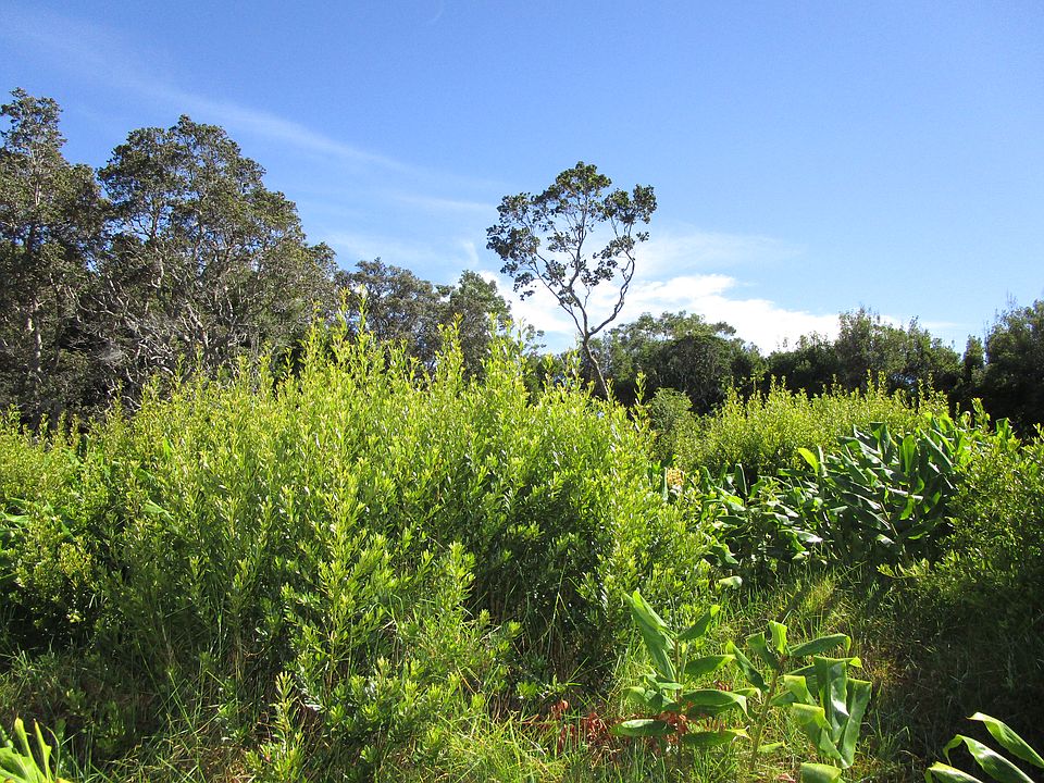 2nd image of Pukeawe Cir Lot 240