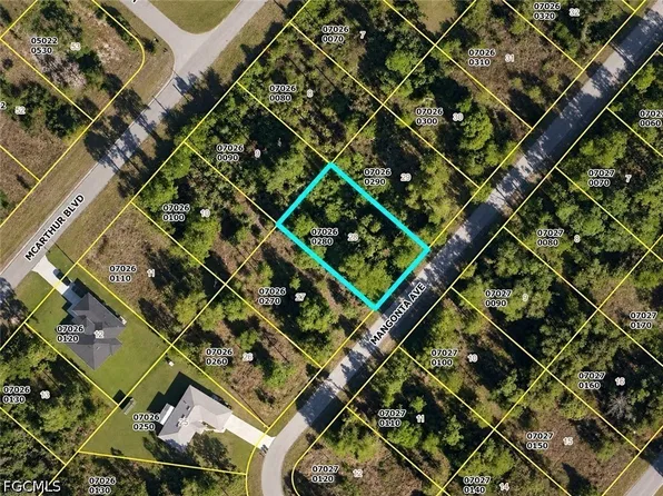 348 Mangonia Ave, Lehigh Acres, FL 33974