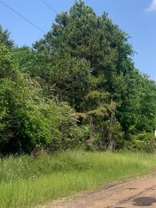 County Road 1660, Mount Pleasant, TX, 75455