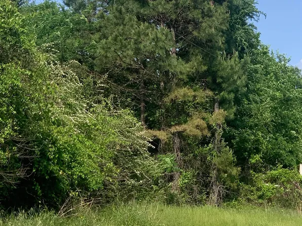 County Road 1660, Mount Pleasant, TX 75455