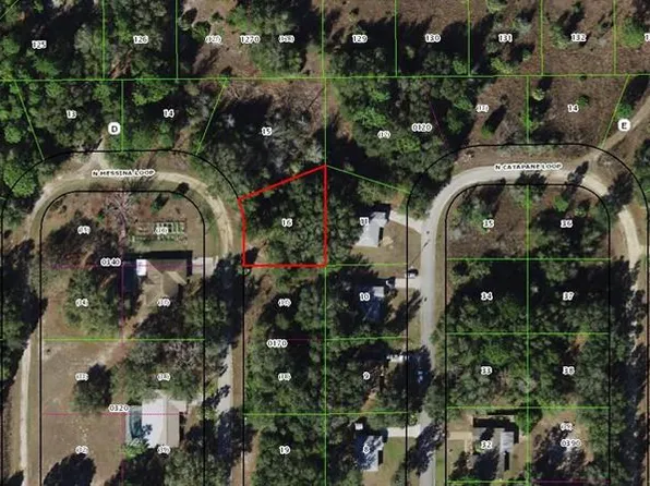 8737 N Messina Loop #16, Crystal River, FL 34428