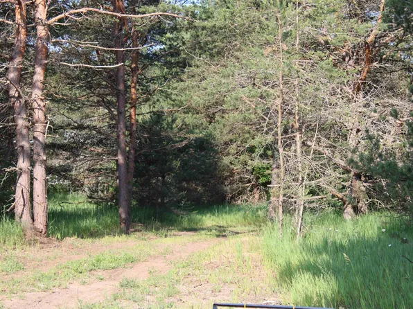 10370 Sperry Rd SW, Fife Lake, MI 49633