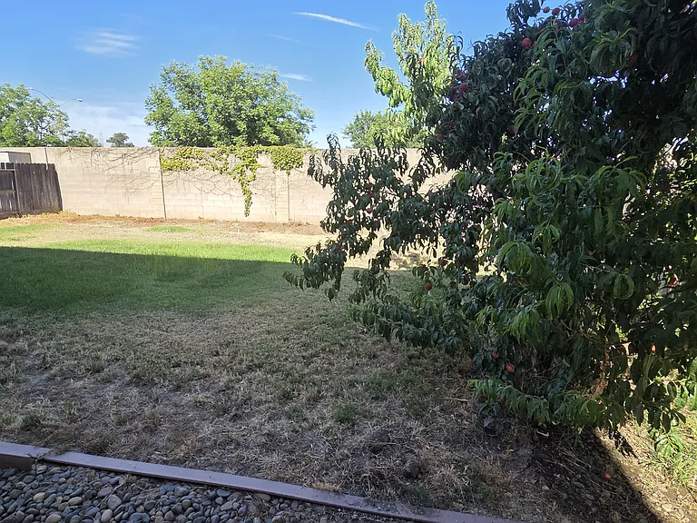 3880 Solstice Ave — Photo 34