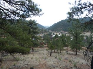 28586 Pine St, Pine, CO 80470