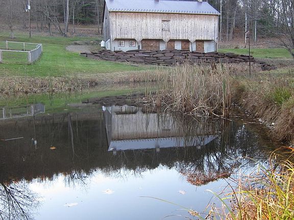 pond