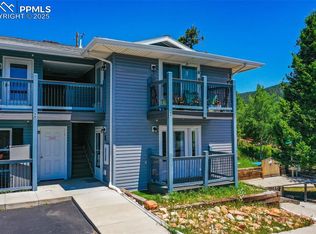 222 Laurel St N UNIT E, Woodland Park, CO 80863