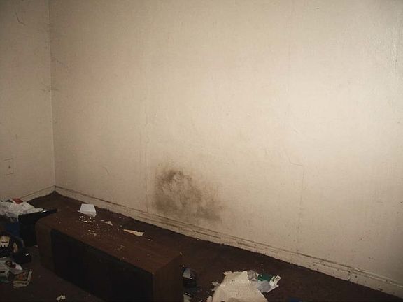 3rd image of 5115 Rosselle St