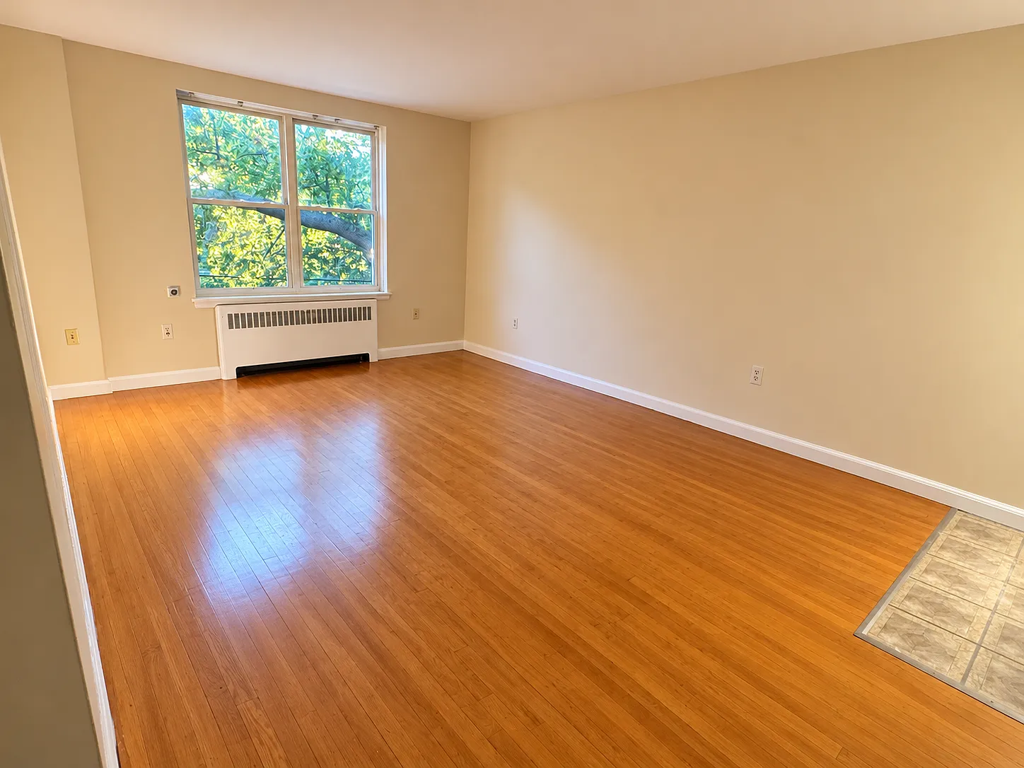 1 bed, 500 sqft, $2,750 — Photo 4