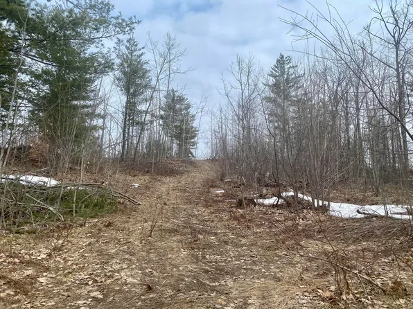 Trails End, Gaylord, MI 49735