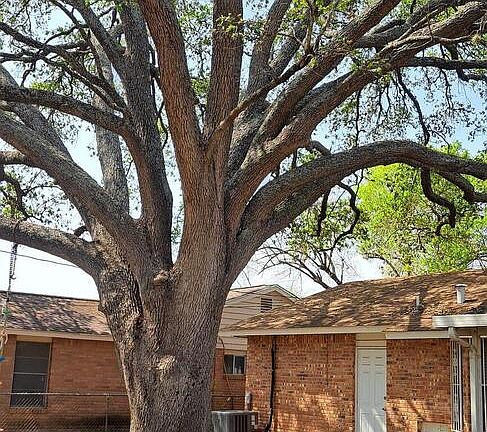 4th image of 4938 Lakewood