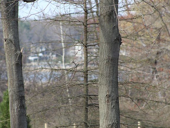 Grand River Views