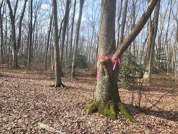 5th image of 15589 Union Rd