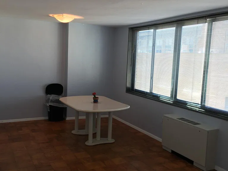 dinning/living view 2