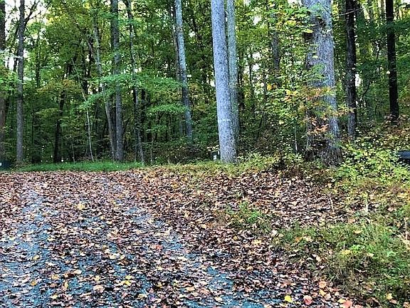 4th image of LOT 1 Preservation Forest Ln Lot 1