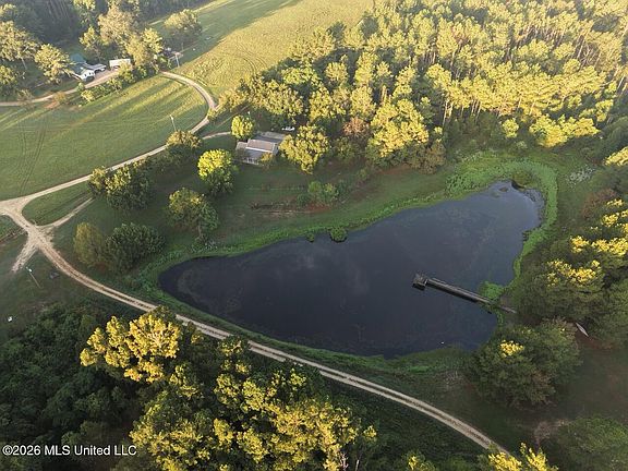 3rd image of Paradise Ln