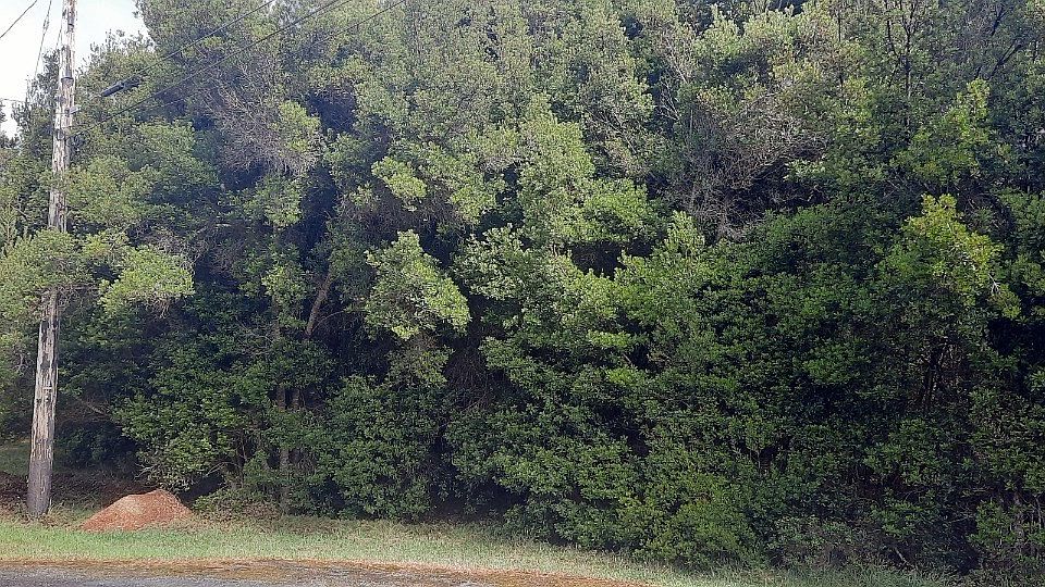 2nd image of Kaakia Way Lot 316