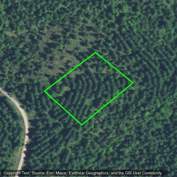 1st image of 62 Turning Wood Ct Lot 633