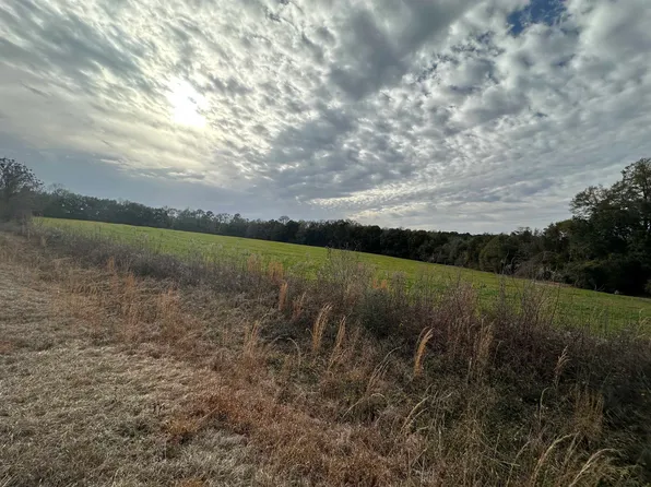 Bates Rd, Red Level, AL 36474
