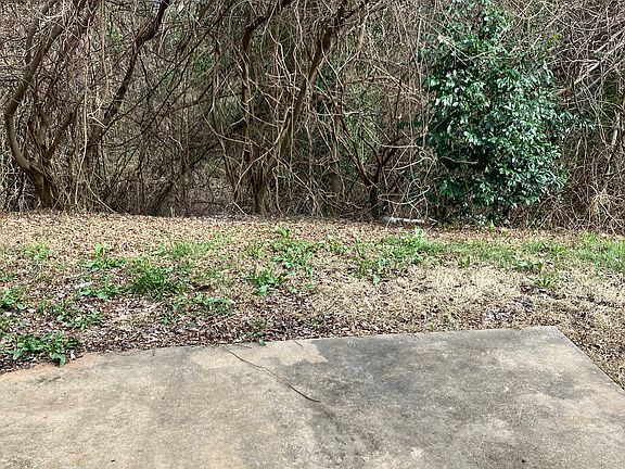 Backyard patio_01172023