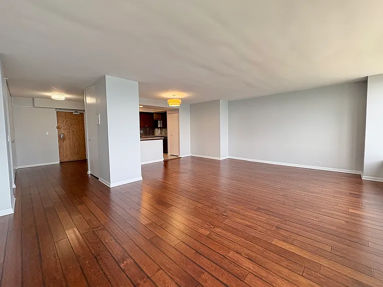 155 N Harbor Dr #2411 — Photo 5