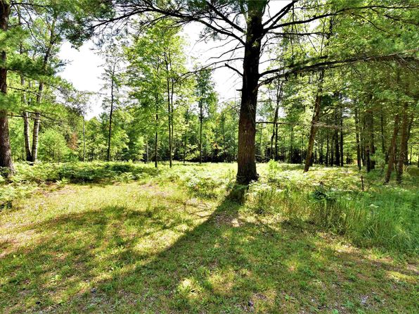 N Forest Lake Dr, Alger, MI 48610