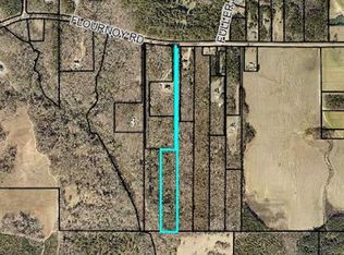 0 Flournoy Rd, Hawkinsville, GA 31036