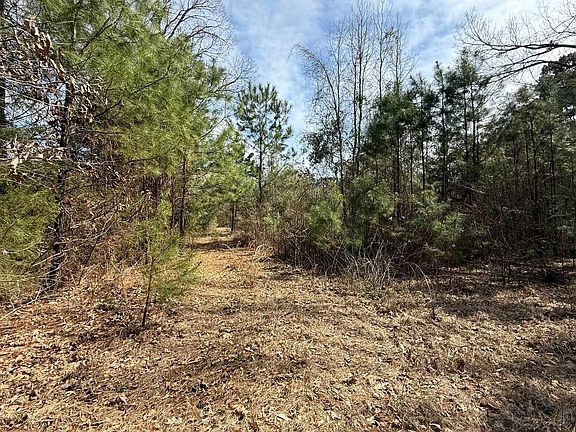 3rd image of 0 County Road 2343 Cres #2339