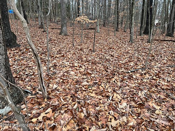 4th image of LOT 31 Gabriel Dr