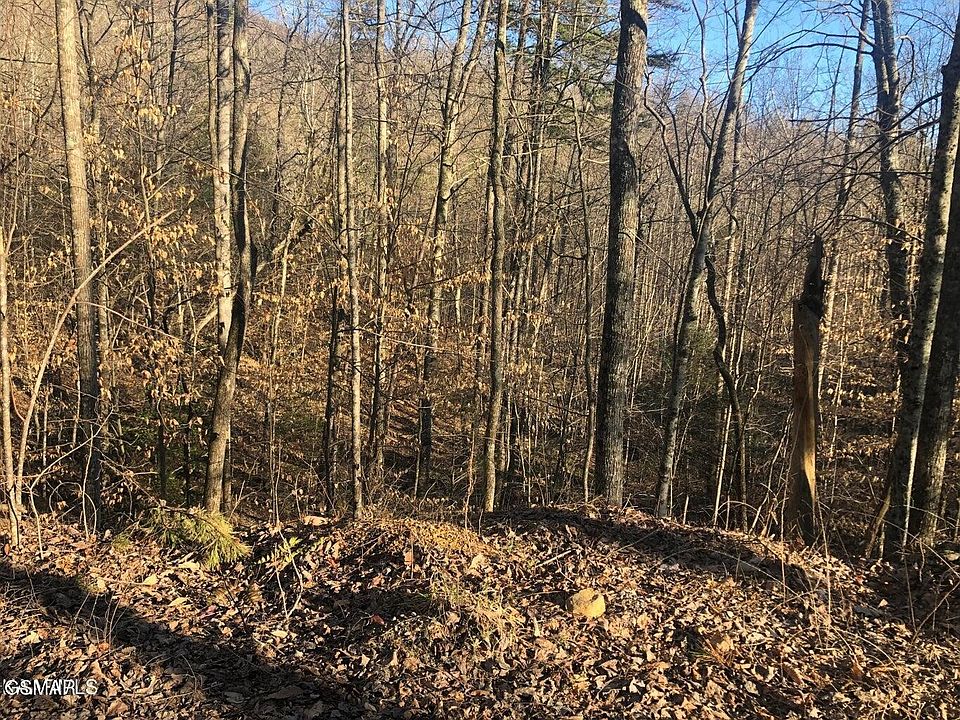 1st image of 68 Yellowwood Dr Lot 68