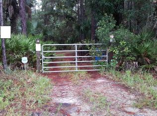 1470 Deer Path Dr, Osteen, FL 32764