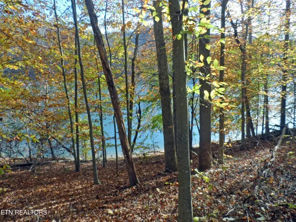 348 Lick Branch Rd, New Tazewell, TN 37825