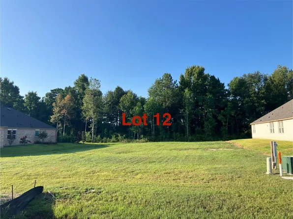 1011 Tarkington Timbers Dr, Cleveland, TX 77327