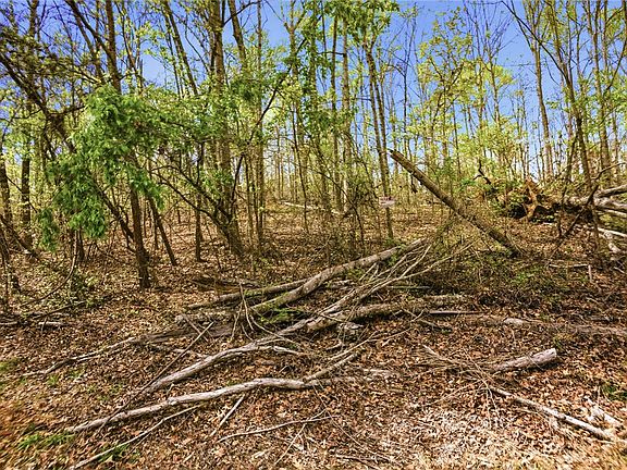 2nd image of LOT 42 Brandywine Dr