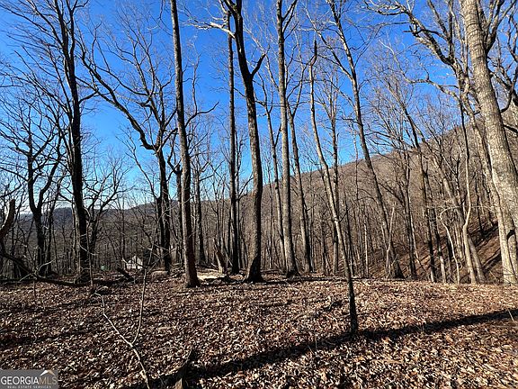 4th image of 4548 Sassafras Mountain Trl