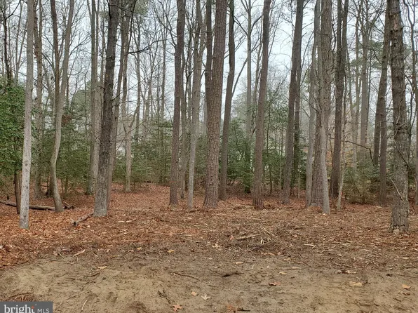 LOT 2055 Neptune Ct, Greenbackville, VA 23356