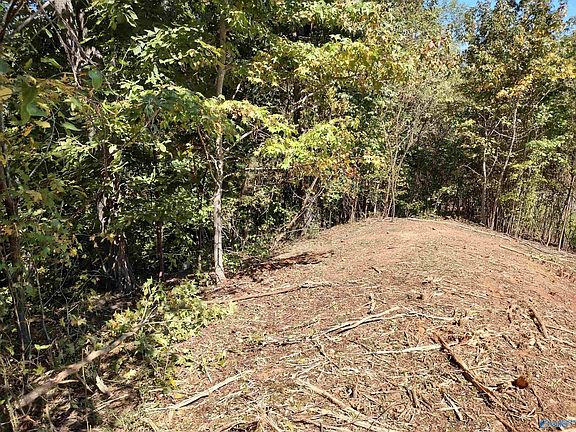 3rd image of 166 Lookout Mountain Dr