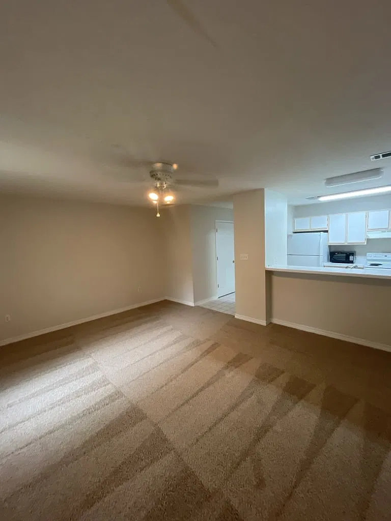 36 Alder Ave SE — Photo 3