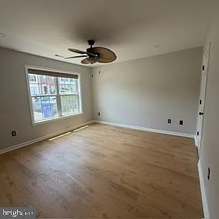 100 Sand Dollar Cv — Photo 28