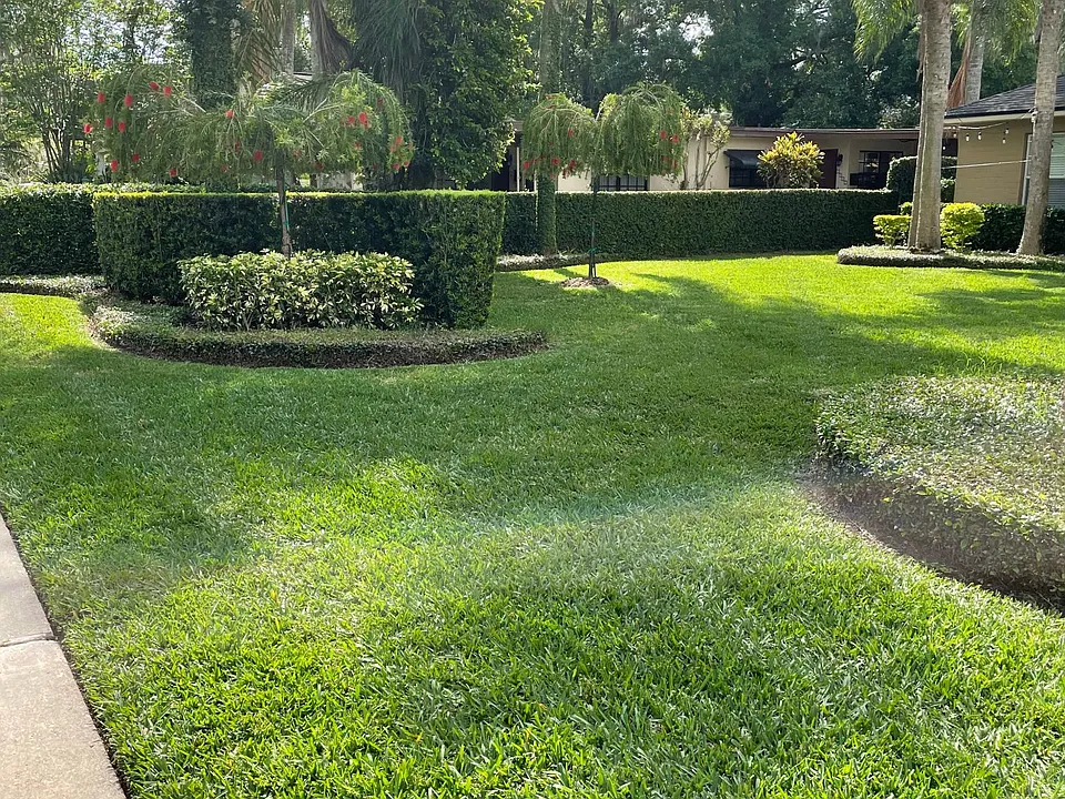 Front yard landscaping