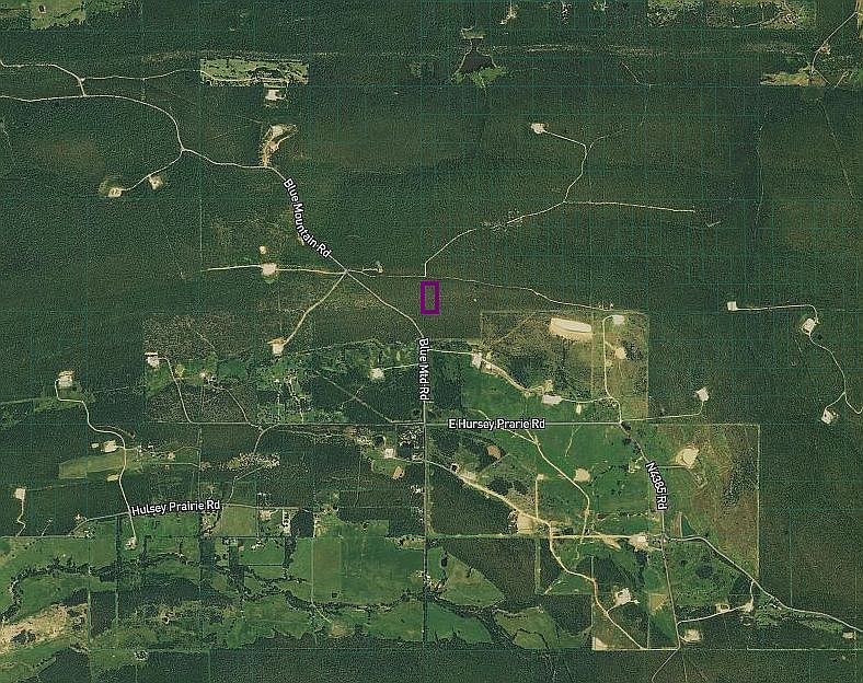 2nd image of Blue Mtd Rd