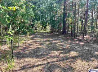 2886C Stephens Rd, Bethune, SC 29009