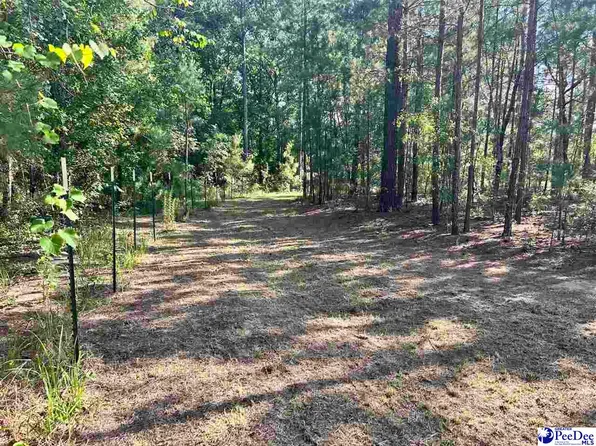2886C Stephens Rd, Bethune, SC 29009