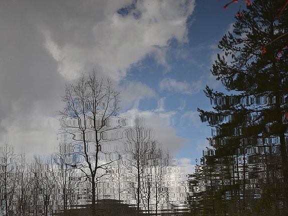 5th image of 5 Woodfen Ln