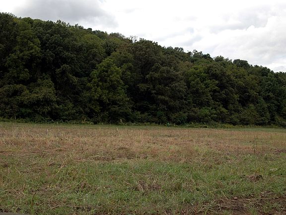 3rd image of Treaty Line Road Lot 9