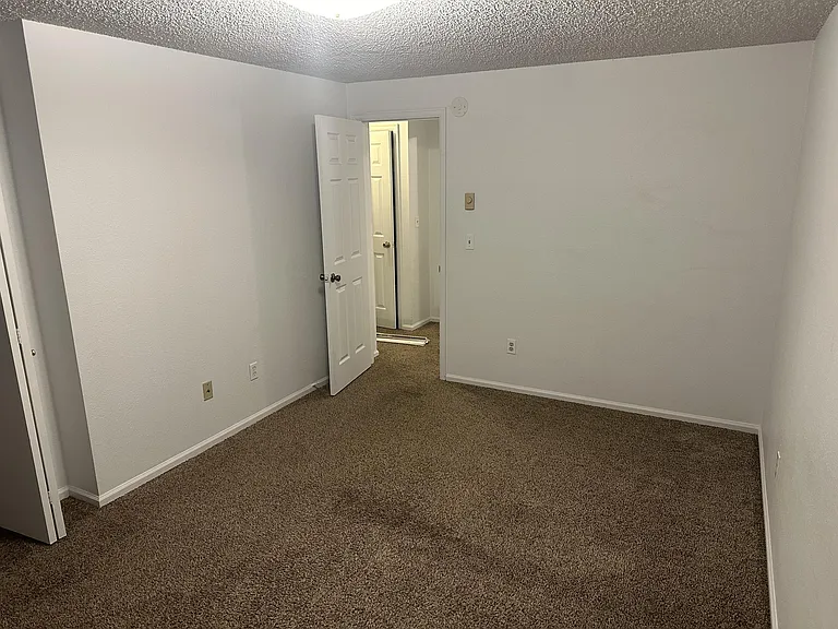 4887 Basswood Dr #4887 — Photo 9