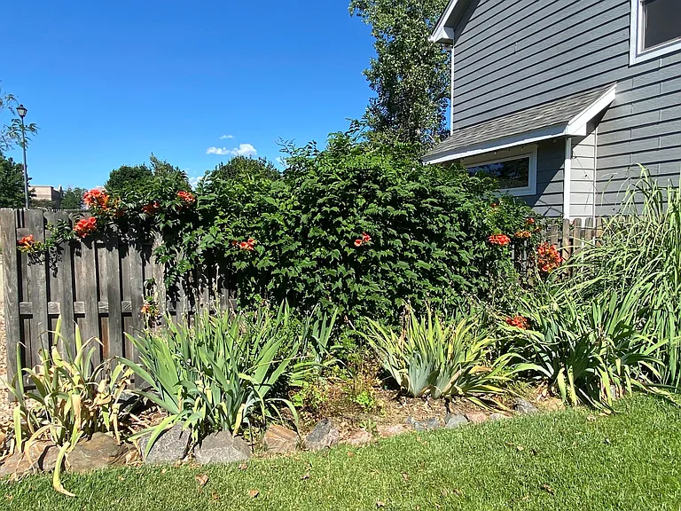 407 Arbor Dr — Photo 26